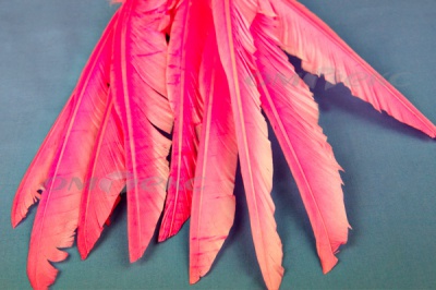 Декоративный Пучок из перьев, перо 25см/розовый - купить в Черкесске. Цена: 14.40 руб.