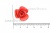 Украшение "Розы малые №1" 20мм - купить в Черкесске. Цена: 32.49 руб.