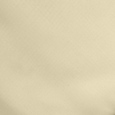Ткань подкладочная Таффета 14-1014, антист., 53 гр/м2, шир.150см, цвет бежевый - купить в Черкесске. Цена 62.37 руб.