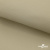 Ткань подкладочная TWILL 230T 14-1108, беж светлый 100% полиэстер,66 г/м2, шир.150 cм - купить в Черкесске. Цена 90.59 руб.