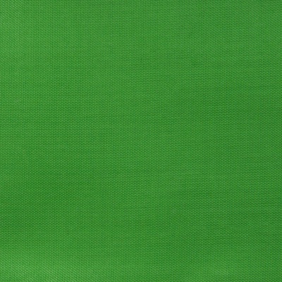 Ткань подкладочная Таффета 17-6153, 48 гр/м2, шир.150см, цвет трава - купить в Черкесске. Цена 54.64 руб.