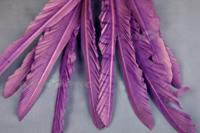 Декоративный Пучок из перьев, перо 25см/фиолетовый - купить в Черкесске. Цена: 12.19 руб.