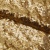Сетка с пайетками №3, 188 гр/м2, шир.140см, цвет золотой - купить в Черкесске. Цена 454.12 руб.