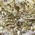 Трикотажное полотно, Сетка с пайетками, шир.130 см, #315, цв.-белый/золото - купить в Черкесске. Цена 693.39 руб.