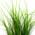 Трава искусственная -3, шт (осока 50 см/8 см  5 листов)				 - купить в Черкесске. Цена: 124.17 руб.